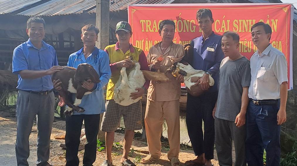 Phú Xuân trao dê sinh sản của dự án phát triển sản xuất mô hình sinh kế năm 2023